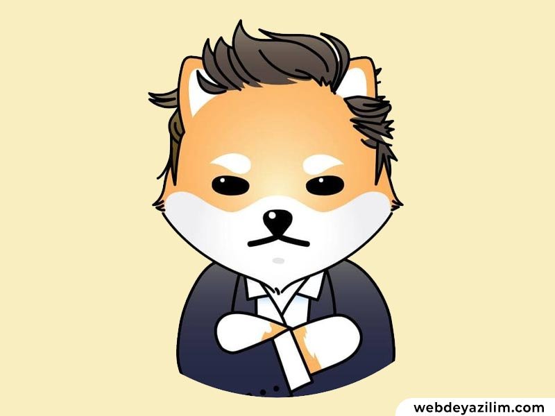 ELON Coin Nedir? Dogelon Mars Nasıl ve Nereden Alınır?
