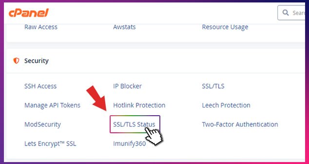 profesyonel e posta için gerekli olan SSL kurulumunu yapmak için cpanel security sekmesinden ssl/tls starus kısmına erişim