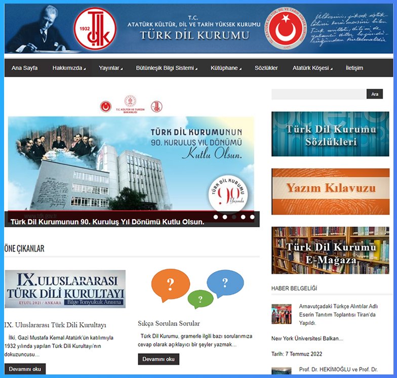 WordPress ile Yapılan Site Örnekleri - tdk.gov.tr