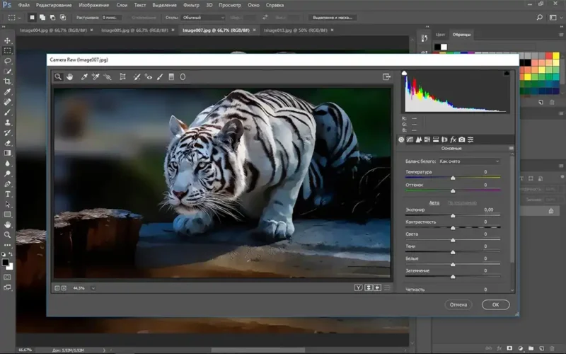 çizim programarı photoshop