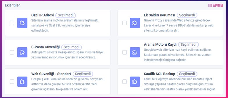 Şirket Web Sitesi Kurmak için Hosting Paketi Ek Hizmetler