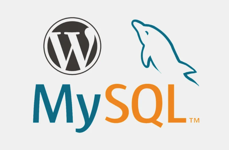MySQL Optimizasyonu ile Sitenizi Hızlandırın!