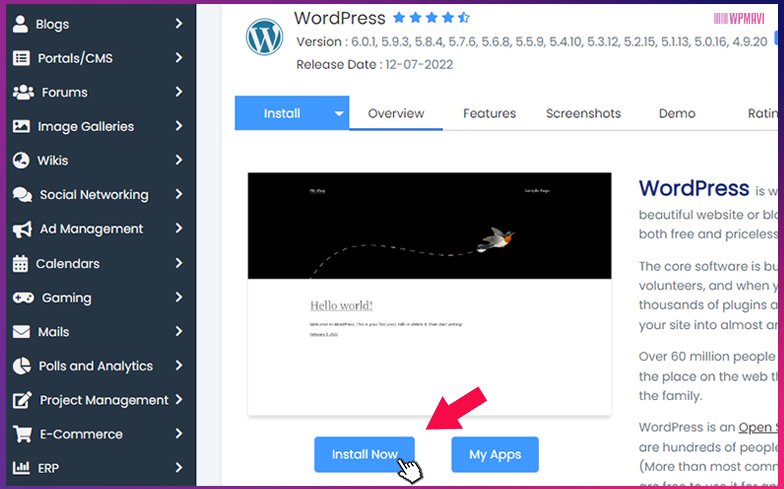 Restoran Web Sitesi - cPanel WordPress Kurulum Butonu