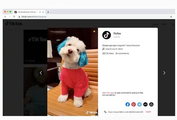 TT Downloader TikTok video indirme programı