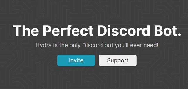 Hydra Bot Discord Müzik Botu
