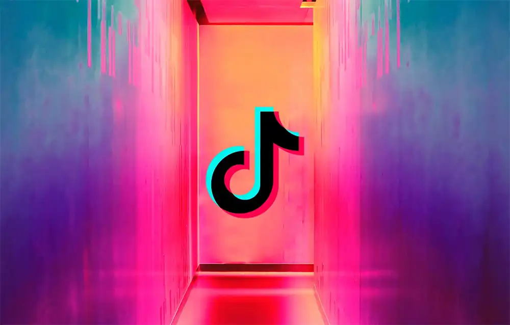 TikTok Video İndirme Programı