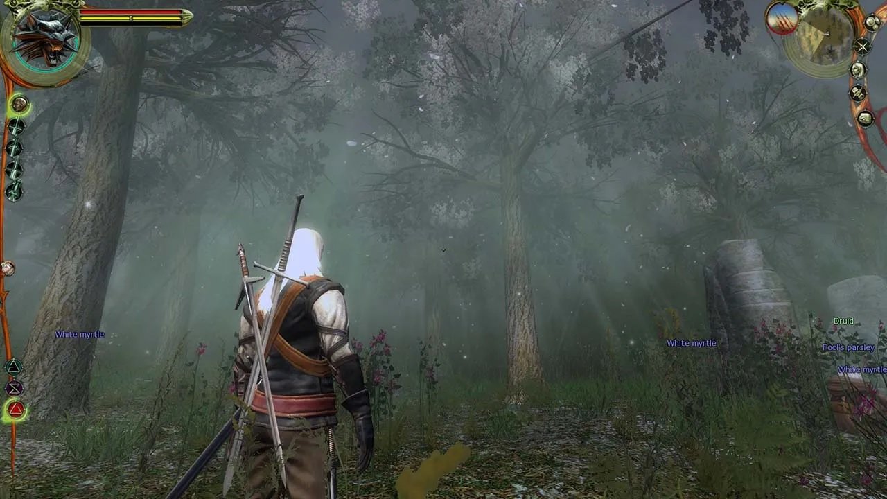 the witcher remake