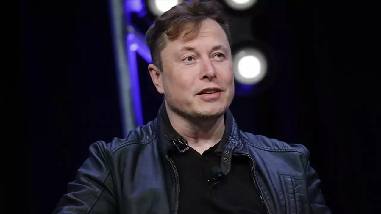 Elon Musk Twitter