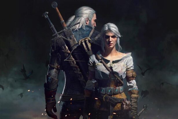 The Witcher 3