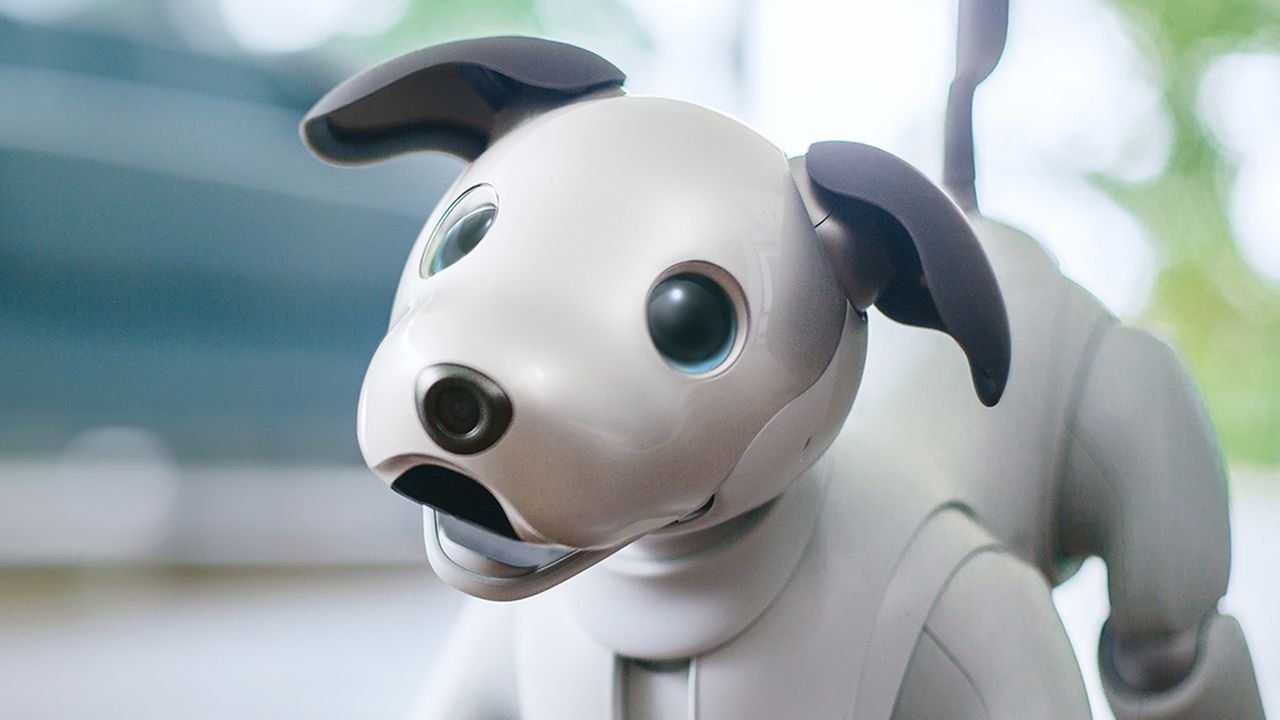 Bunu da gördük: Sony, yaşlanan robotlara bakacak kişiler arıyor!