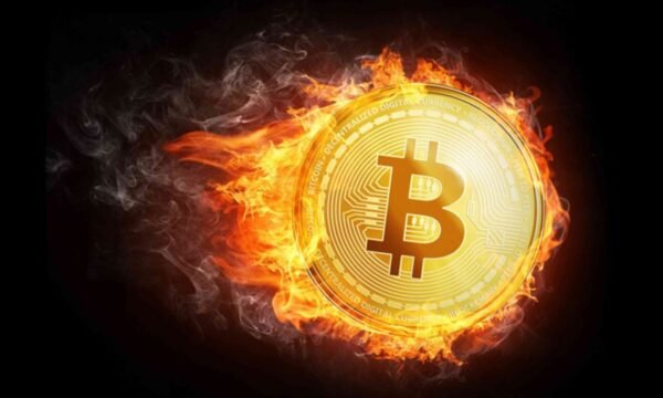 Bitcoin boğa koşusu