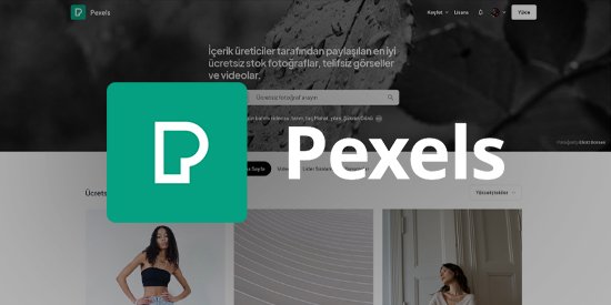 Ücretsiz Stok Fotoğraf - Pexels